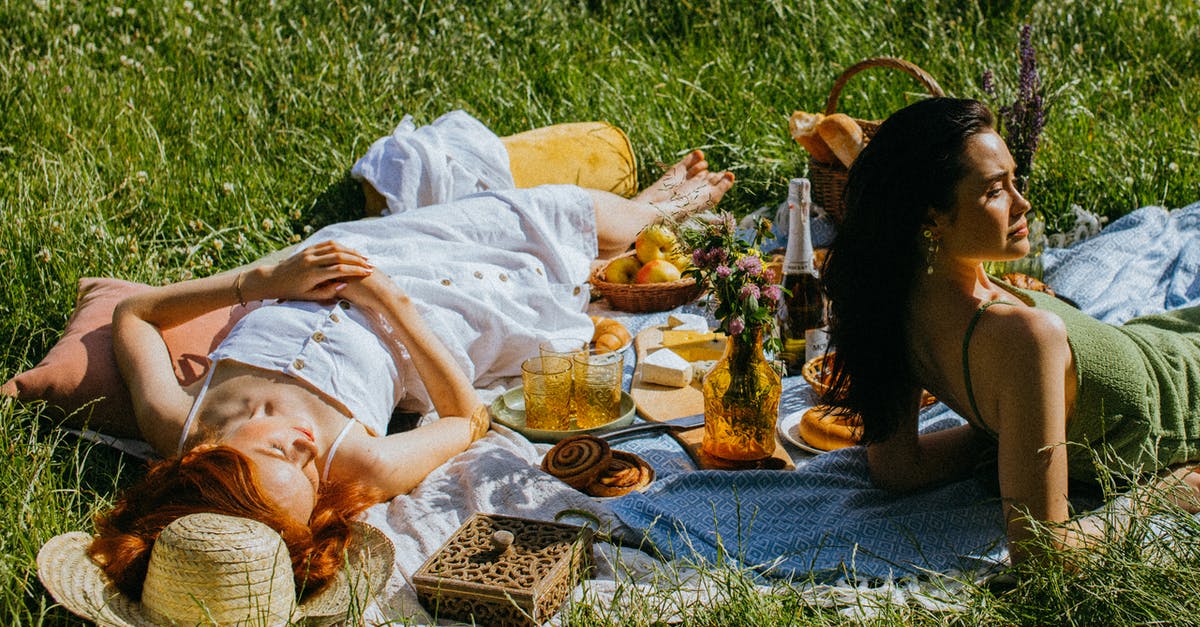 Substitute for ground picnic ham. - Women Lying Down Leisurely on the Picnic Blanket Substitute for ground picnic ham. - Women Lying Down Leisurely on the Picnic Blanket