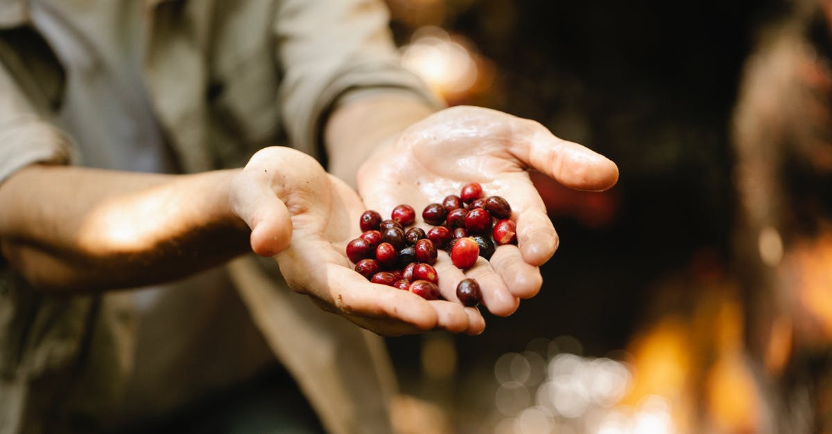 Substitute for red bean paste? - Anonymous man showing coffee berries Substitute for red bean paste? - Anonymous man showing coffee berries