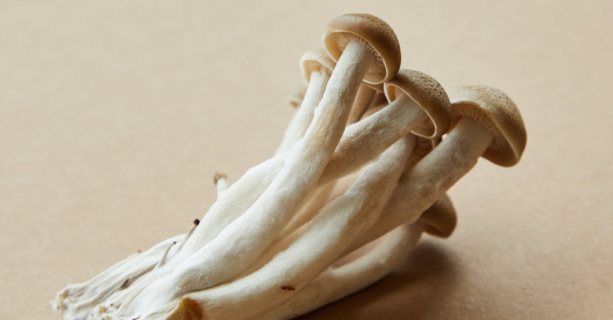 Substitute Hon Dashi for Bonito - Thin mushrooms on table Substitute Hon Dashi for Bonito - Thin mushrooms on table