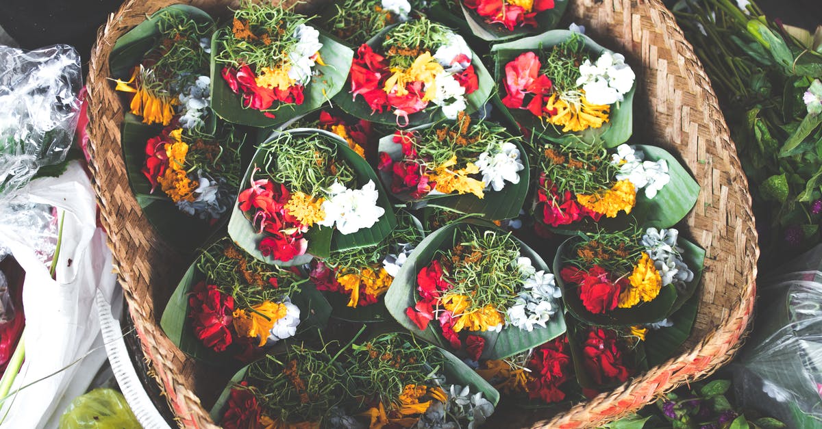 Substituting for Candlenuts in Indonesian Food - Assorted Flowers Substituting for Candlenuts in Indonesian Food - Assorted Flowers