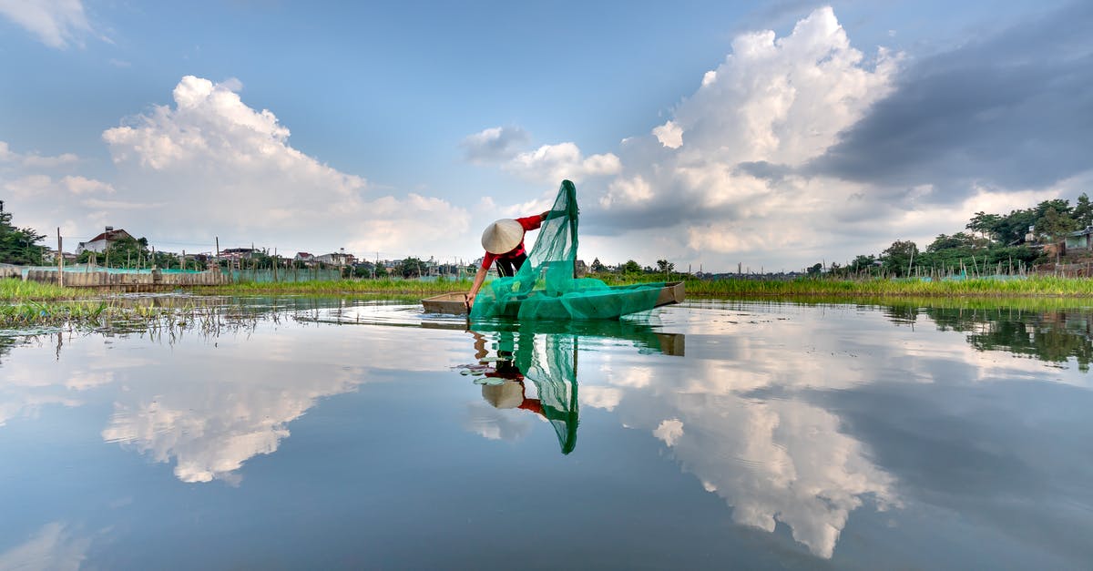 Tamago-su preparation - Woman in Green Dress on Body of Water Tamago-su preparation - Woman in Green Dress on Body of Water