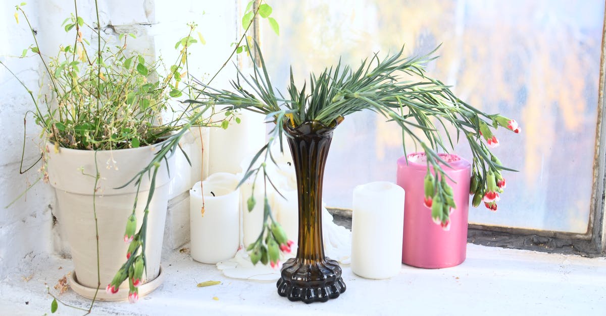 Thinning copper-bottomed staninless pot - Vase with blossoming flowers near Maidenhair in pot and wax candles against window at home Thinning copper-bottomed staninless pot - Vase with blossoming flowers near Maidenhair in pot and wax candles against window at home