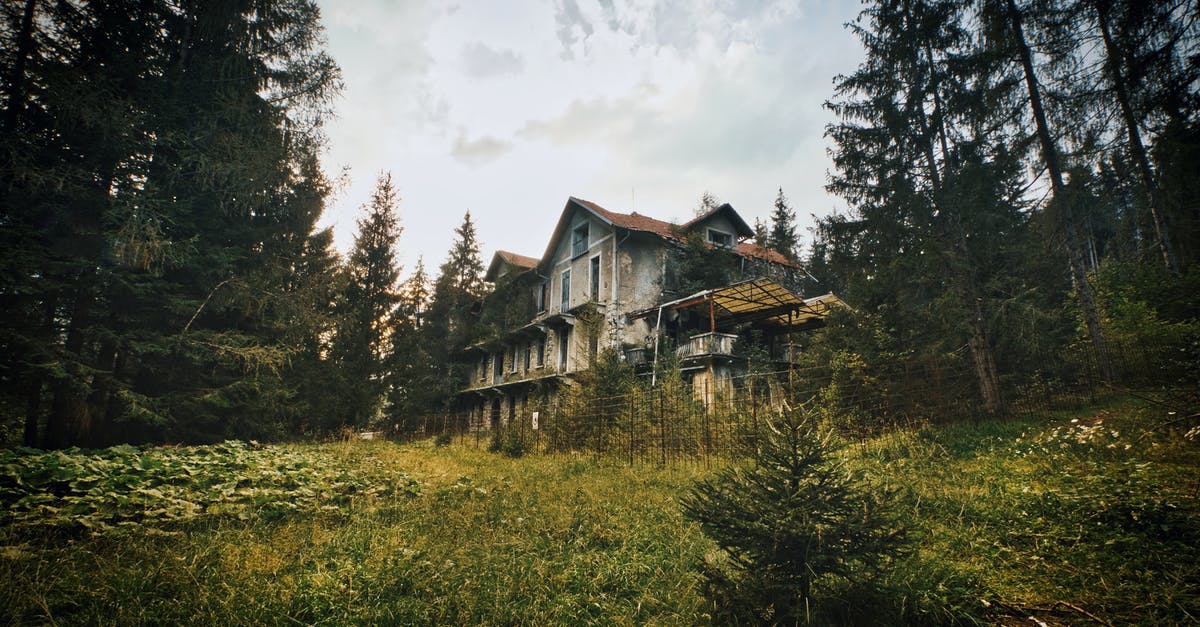 To what extent is curcumin destroyed by boiling? - Brown Wooden House Surrounded by Green Trees Under White Clouds To what extent is curcumin destroyed by boiling? - Brown Wooden House Surrounded by Green Trees Under White Clouds