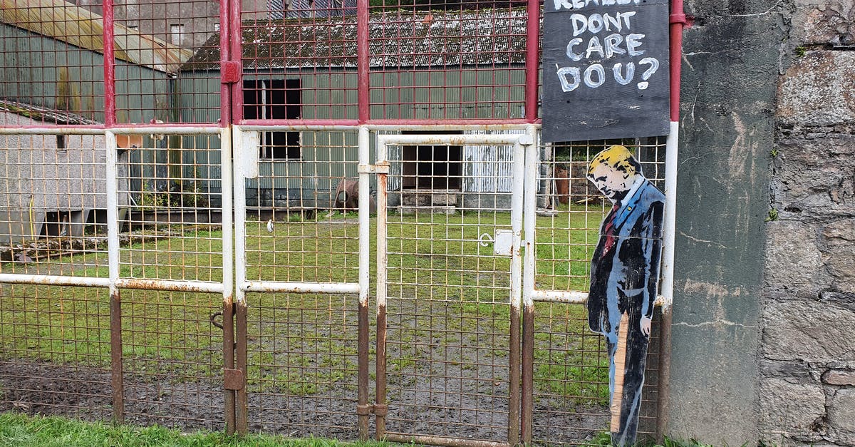 To what extent is curcumin destroyed by boiling? - Man in Blue Jacket Standing Near White Metal Fence To what extent is curcumin destroyed by boiling? - Man in Blue Jacket Standing Near White Metal Fence