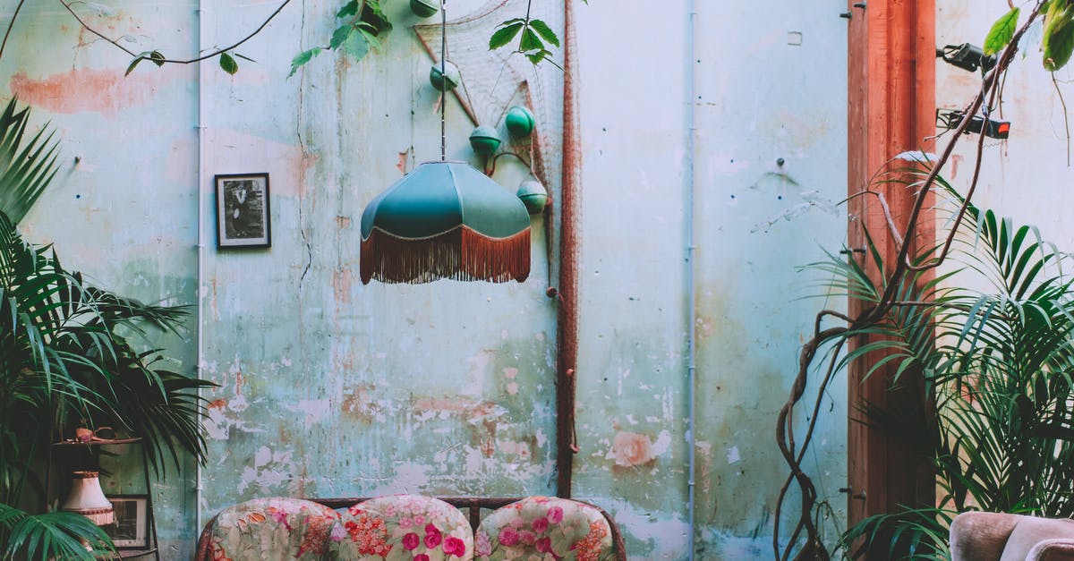 Toads with a flat batter-y - Interior of room with vintage chandelier and green plants growing above old coach at shabby wall with wooden column Toads with a flat batter-y - Interior of room with vintage chandelier and green plants growing above old coach at shabby wall with wooden column