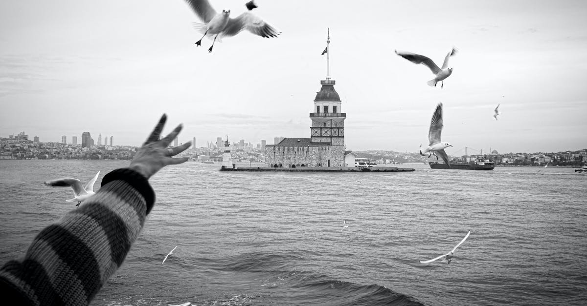 Tool/shears for cutting the backbone out of turkey - Grayscale Photo of Birds Flying over the Sea Tool/shears for cutting the backbone out of turkey - Grayscale Photo of Birds Flying over the Sea