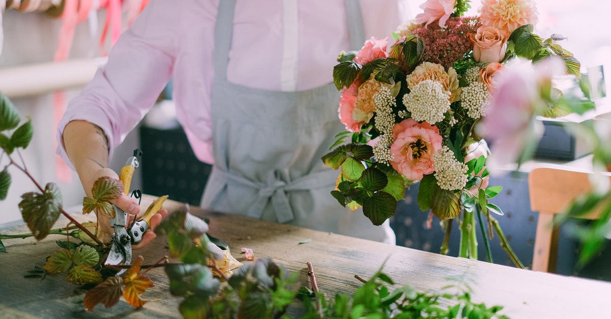 Tool/shears for cutting the backbone out of turkey - A Person Arranging Flowers Tool/shears for cutting the backbone out of turkey - A Person Arranging Flowers