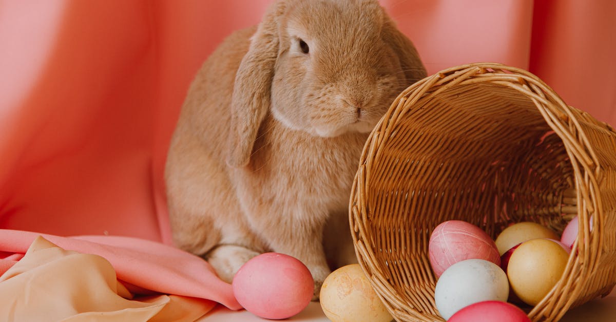 Traditional Easter Turkey - Colored Eggs In A Basket Beside A Bunny Traditional Easter Turkey - Colored Eggs In A Basket Beside A Bunny