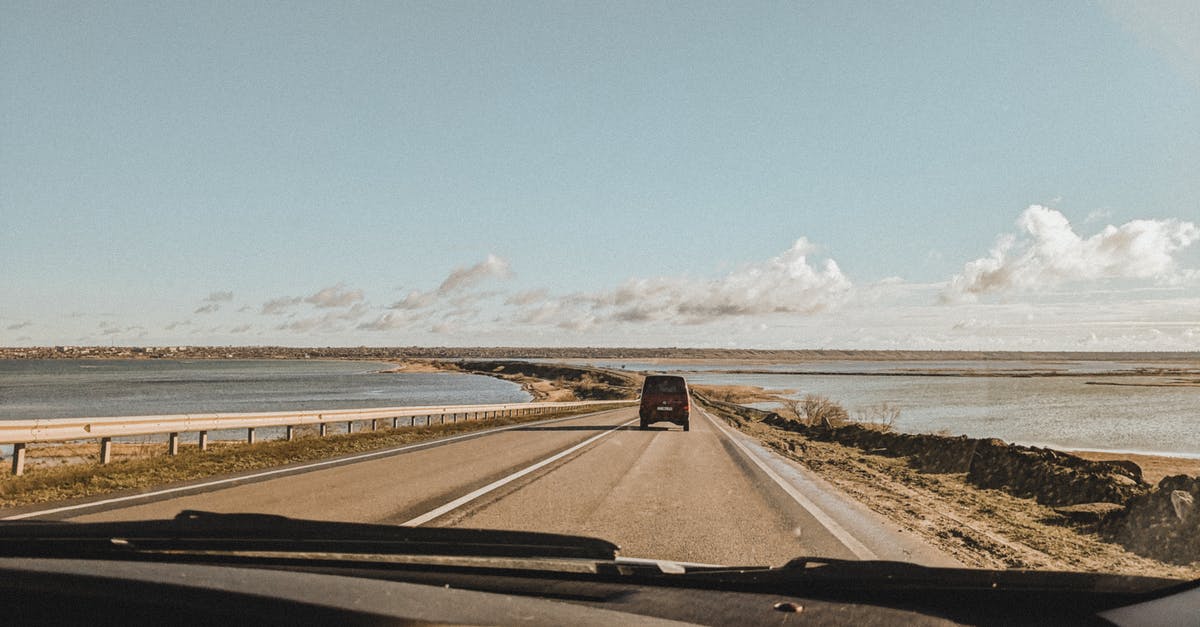 Traveling with chicken - Black Car on Road