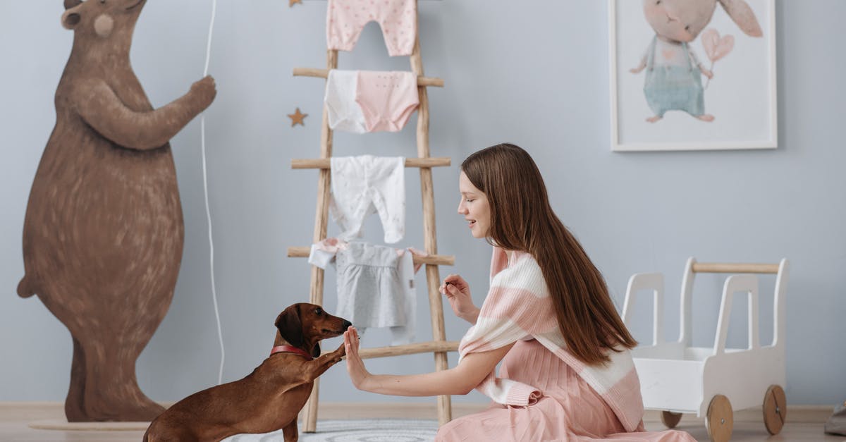Tricks of griling kabab - A Pregnant Woman Training Her Dog Tricks of griling kabab - A Pregnant Woman Training Her Dog