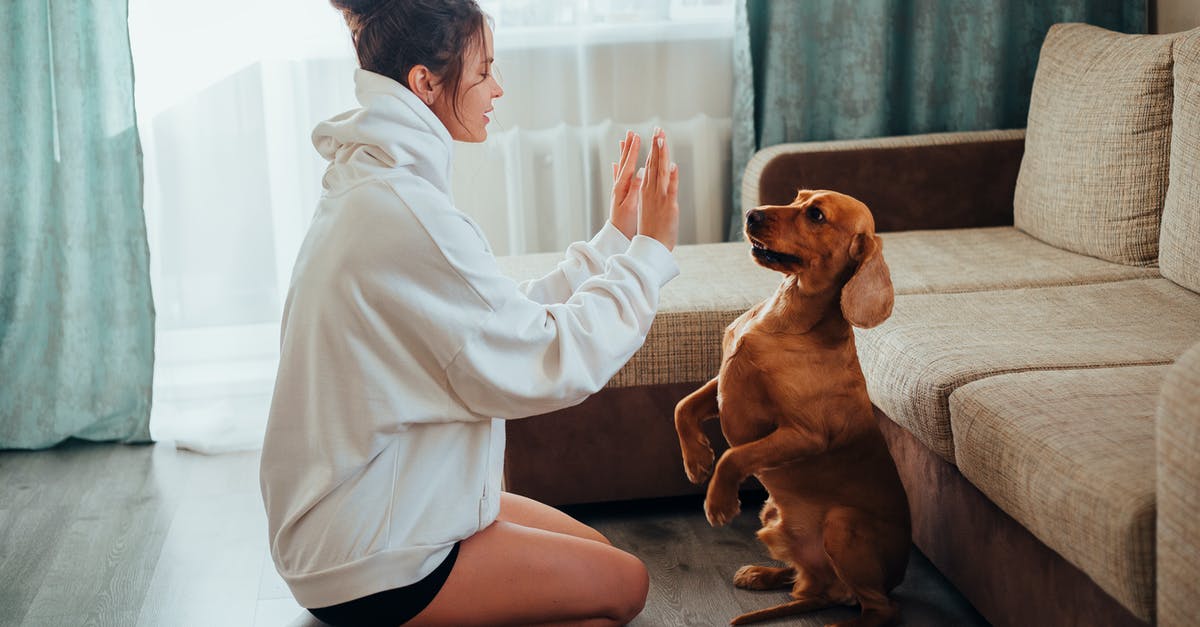 Tricks to ensure Mailliard/Browning reaction? - A Woman Teaching her Dog Tricks Tricks to ensure Mailliard/Browning reaction? - A Woman Teaching her Dog Tricks