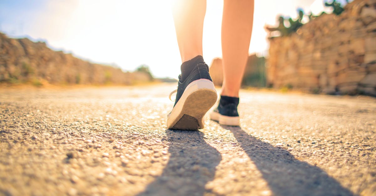 Troubleshooting braised turkey legs dry and tough - Woman Walking on Pathway Under The Sun Troubleshooting braised turkey legs dry and tough - Woman Walking on Pathway Under The Sun