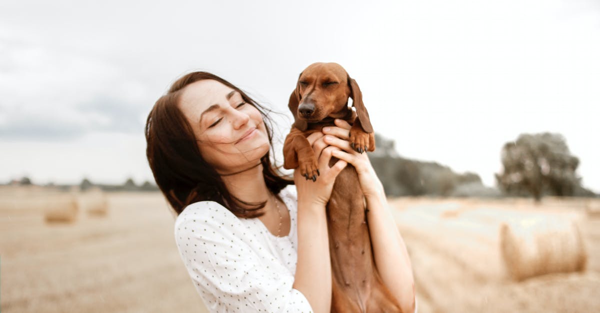 turkey with beautiful browned skin that doesn't stick to the meat - Smiling Woman Carrying Brown Dachshund turkey with beautiful browned skin that doesn't stick to the meat - Smiling Woman Carrying Brown Dachshund
