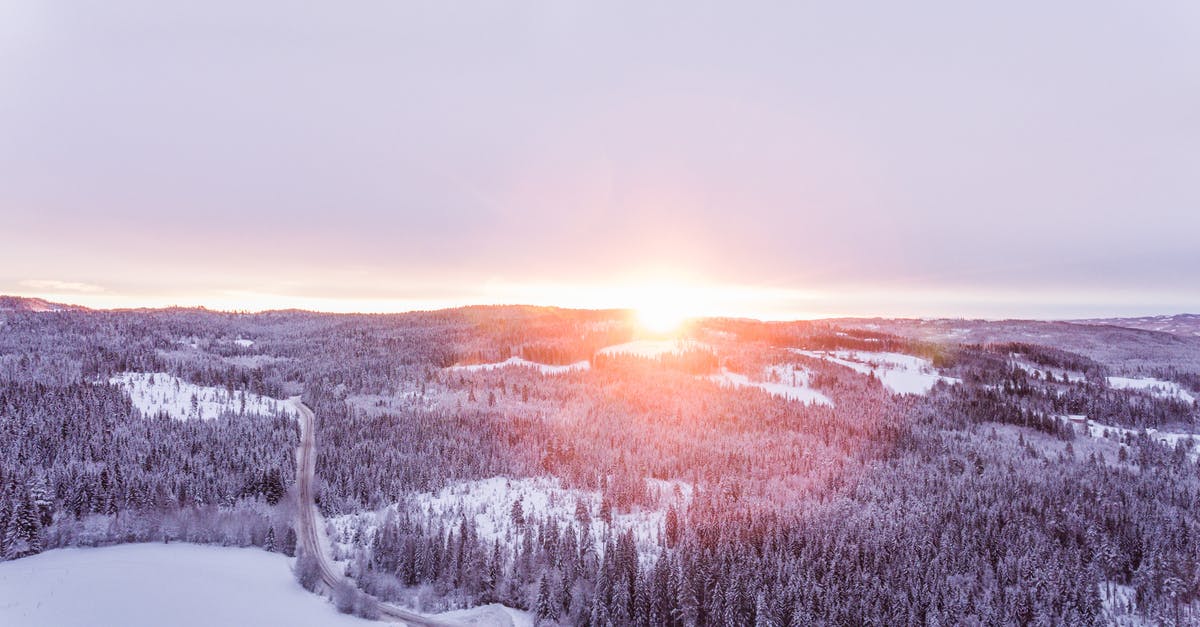 Unable to make yogurt in cold climate - Aerial Photo of Forest Unable to make yogurt in cold climate - Aerial Photo of Forest