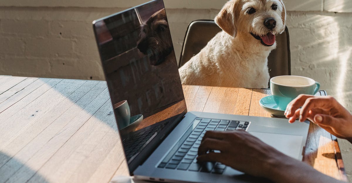 Use any part of an animal for making stock/broth? - Crop anonymous young African American female freelancer using netbook and drinking coffee while sitting at table near dog Use any part of an animal for making stock/broth? - Crop anonymous young African American female freelancer using netbook and drinking coffee while sitting at table near dog