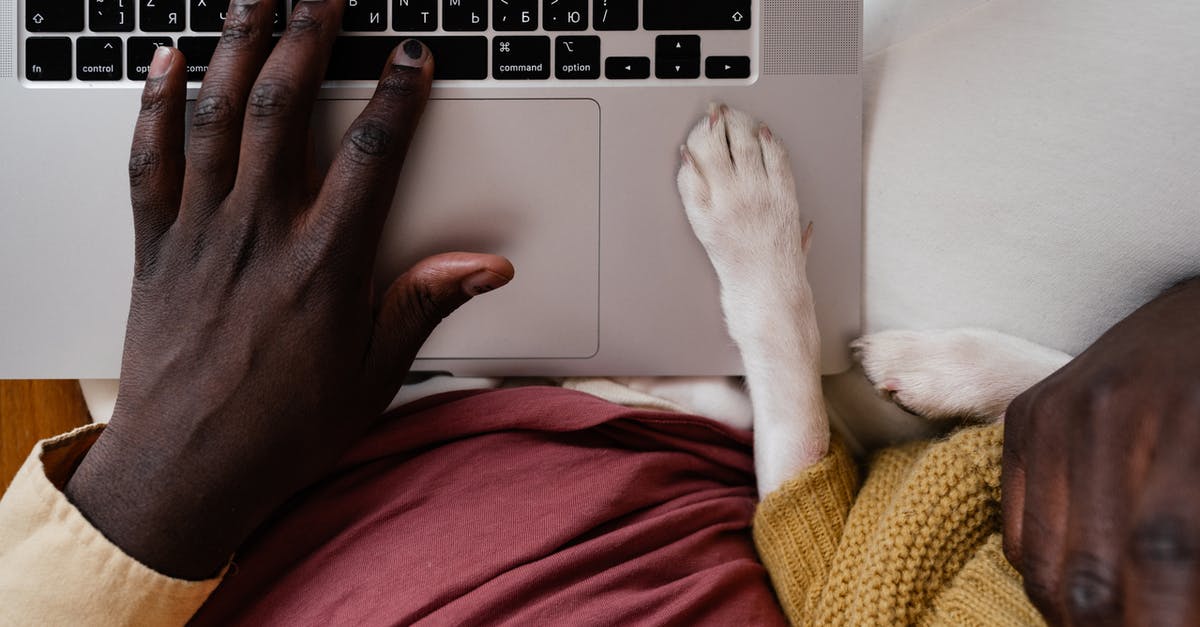 Use any part of an animal for making stock/broth? - Top view of crop unrecognizable African American male typing on netbook with paw of dog aside Use any part of an animal for making stock/broth? - Top view of crop unrecognizable African American male typing on netbook with paw of dog aside