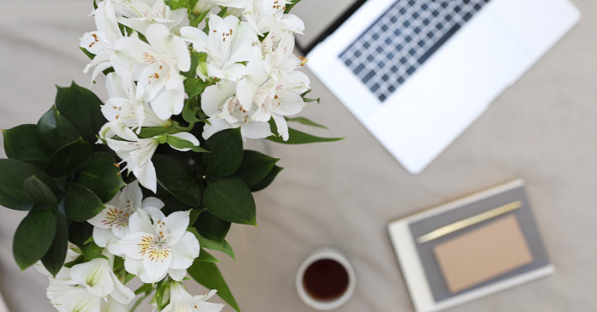 Using Fresh Masa with Tamales - From above of bouquet of fresh lilies places near opened laptop and notebook with pen on fabric surface in daytime