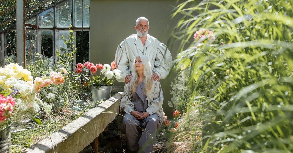 Very old sourdough starter; how long is too long? - An Elderly Couple Sitting and Standing Near Tin Pots of Flowers Very old sourdough starter; how long is too long? - An Elderly Couple Sitting and Standing Near Tin Pots of Flowers