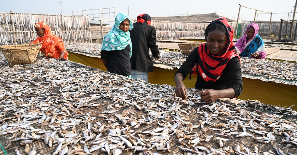 Washing or rinsing fish and seafood - Man in Black and White Jacket Sitting on Brown Wooden Dock Washing or rinsing fish and seafood - Man in Black and White Jacket Sitting on Brown Wooden Dock