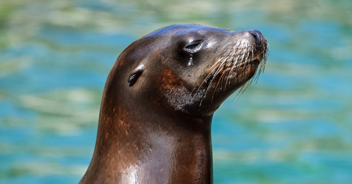 Water seal vs open crock pickles - Dewgong on Body of Water Water seal vs open crock pickles - Dewgong on Body of Water