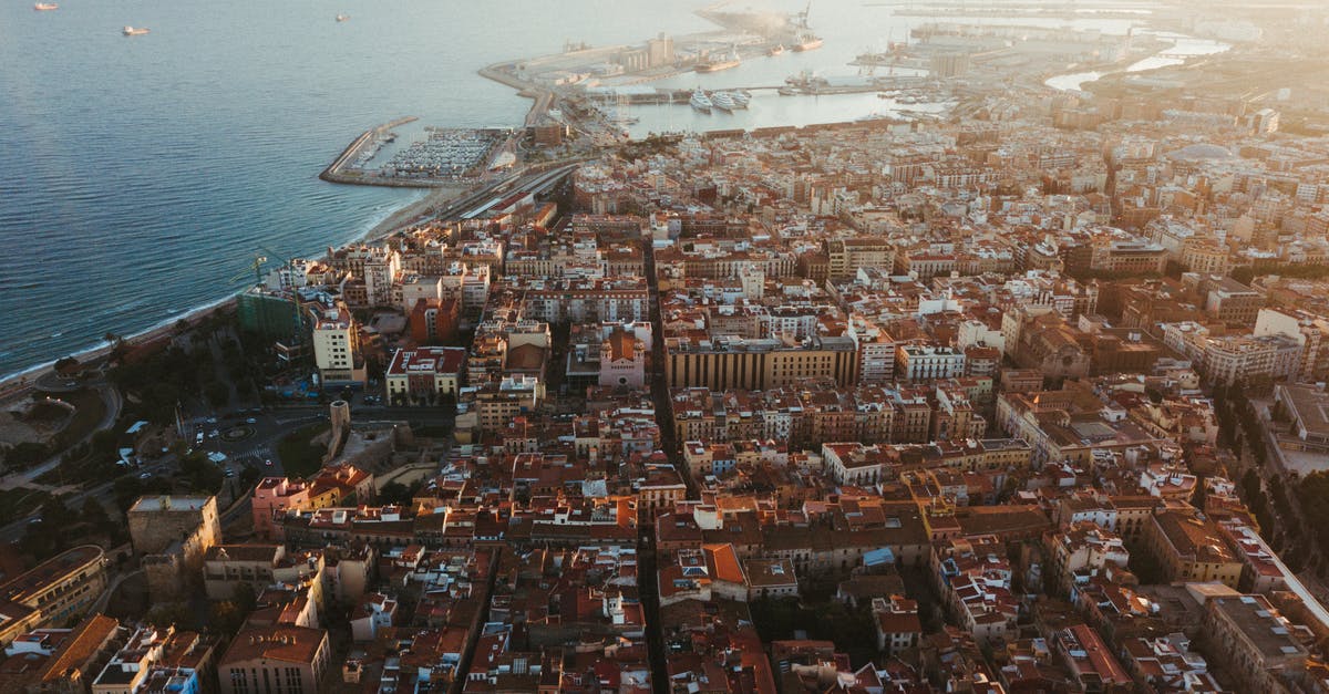 What's 香茜 or 芫荽 in English? - Aerial View of City Buildings What's 香茜 or 芫荽 in English? - Aerial View of City Buildings
