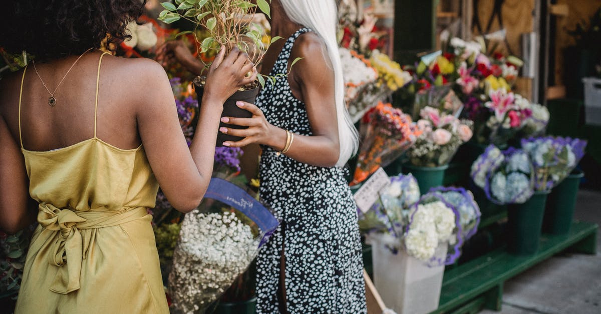 What's 香茜 or 芫荽 in English? - Woman in Yellow Sleeveless Dress Holding Bouquet of Flowers What's 香茜 or 芫荽 in English? - Woman in Yellow Sleeveless Dress Holding Bouquet of Flowers