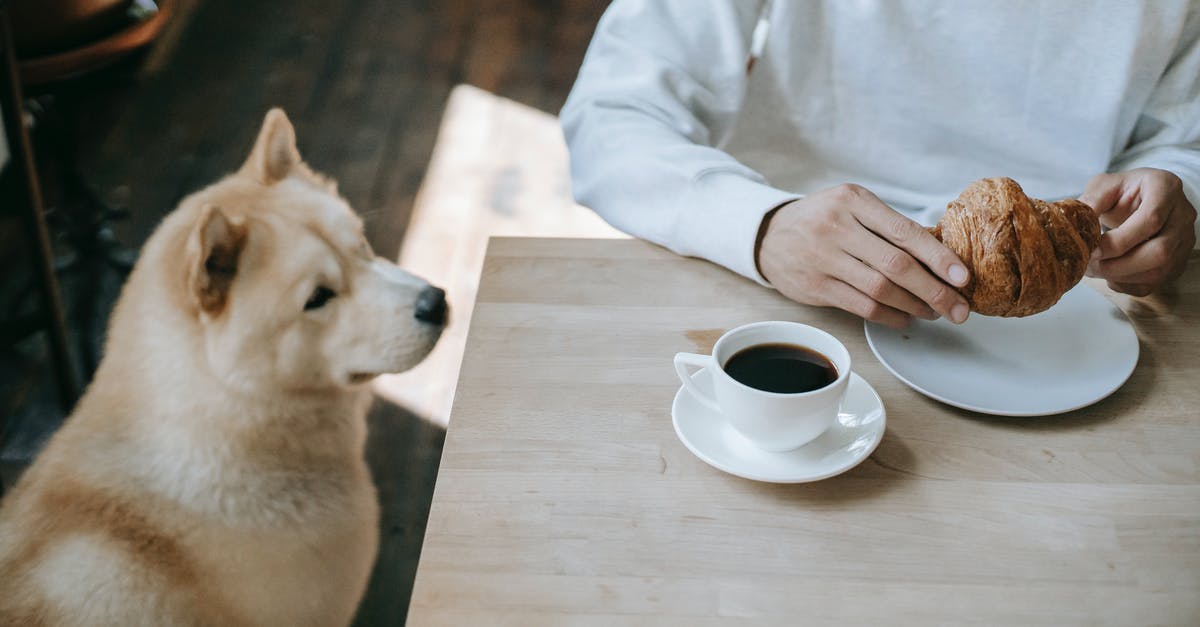 What's the best method for making iced coffee? - Akita Inu Sitting Below Table