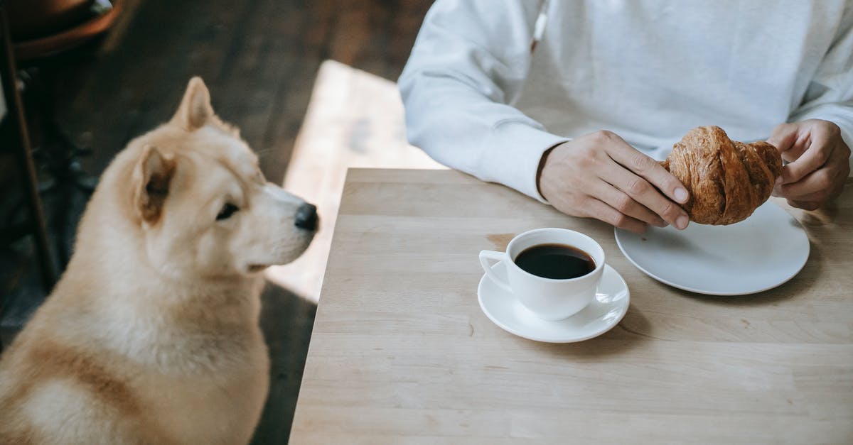 What's the best method for making iced coffee? - Akita Inu Sitting Below Table What's the best method for making iced coffee? - Akita Inu Sitting Below Table