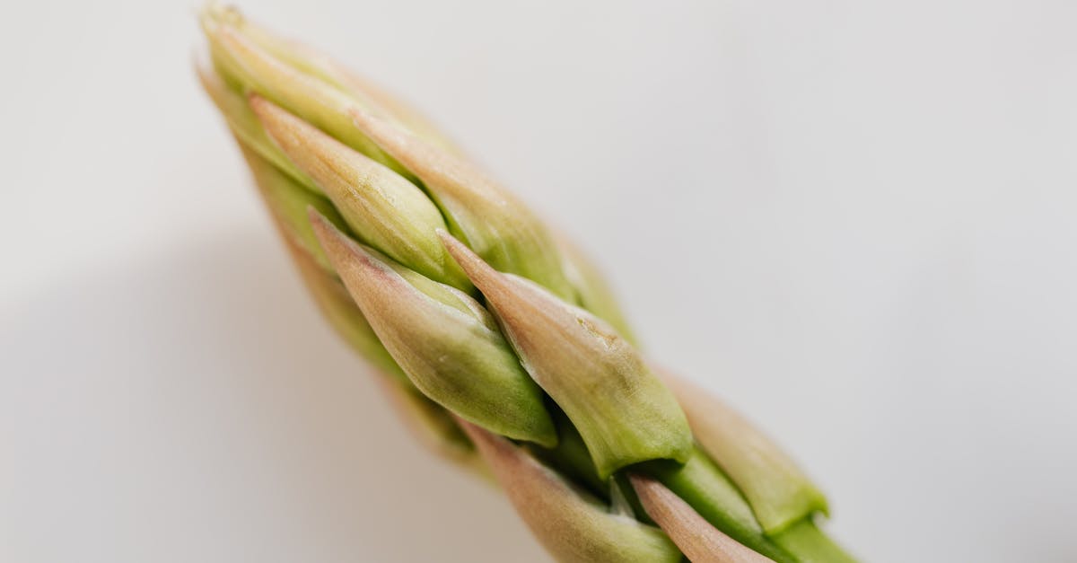 What's the best way to clean a salad spinner? - End of fresh ripe green asparagus pod What's the best way to clean a salad spinner? - End of fresh ripe green asparagus pod