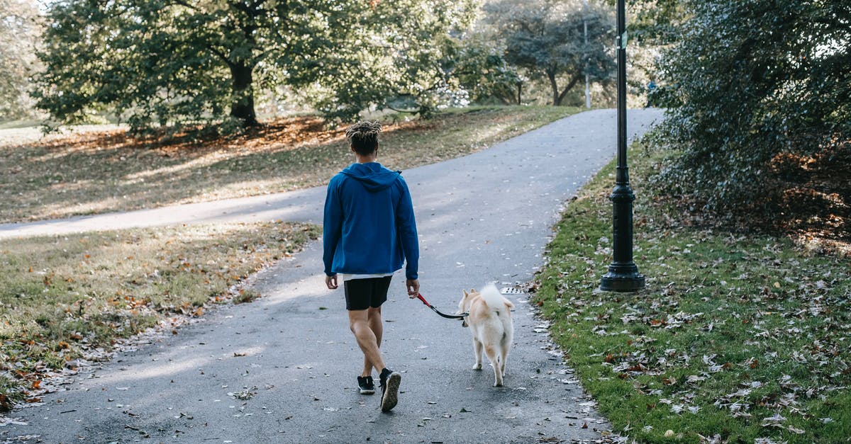 What's the best way to cook fall-off-the-bone baby-back ribs - Anonymous guy with purebred dog walking in green park What's the best way to cook fall-off-the-bone baby-back ribs - Anonymous guy with purebred dog walking in green park