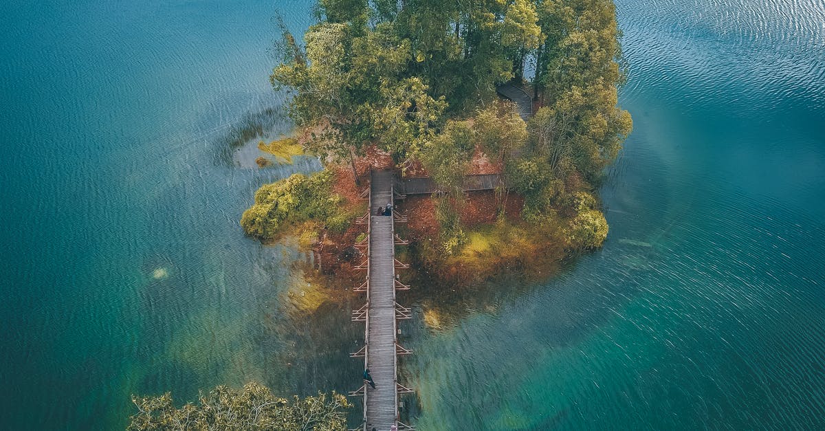 What's the best way to keep sushi fresh for the following day? - Wooden bridge leading to small green island in water What's the best way to keep sushi fresh for the following day? - Wooden bridge leading to small green island in water