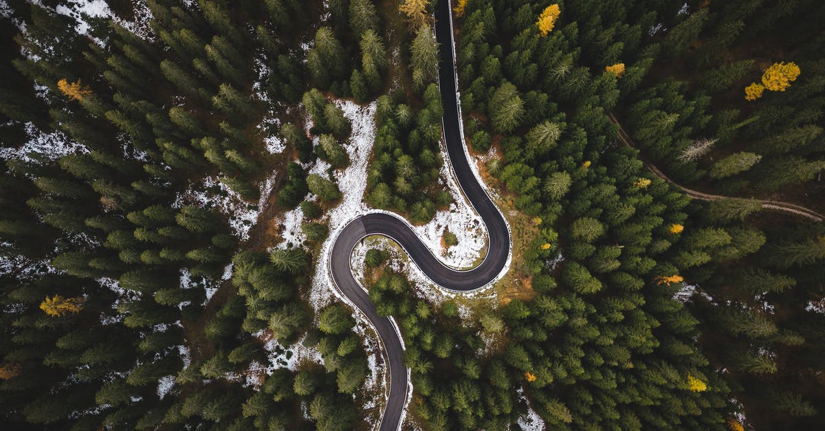 What's the best way to make Béchamel sauce? - Bird's Eye View Of Roadway Surrounded By Trees What's the best way to make Béchamel sauce? - Bird's Eye View Of Roadway Surrounded By Trees