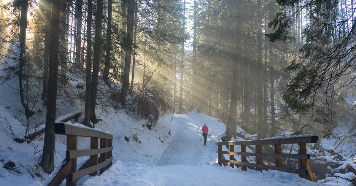 What's the best way to reheat frozen boiled potatoes? - Person in Red Jacket Walking on Snow Covered Ground What's the best way to reheat frozen boiled potatoes? - Person in Red Jacket Walking on Snow Covered Ground