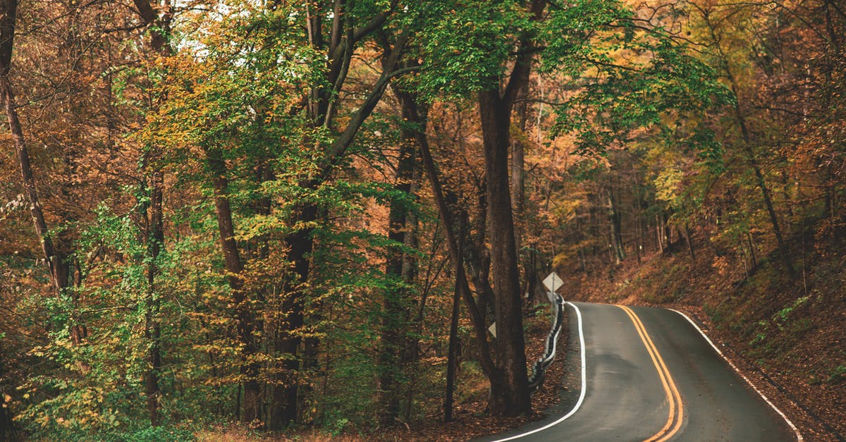 What's the best way to season a cast iron skillet? - Gray Concrete Roadway Beside Green and Brown Leafed Trees What's the best way to season a cast iron skillet? - Gray Concrete Roadway Beside Green and Brown Leafed Trees