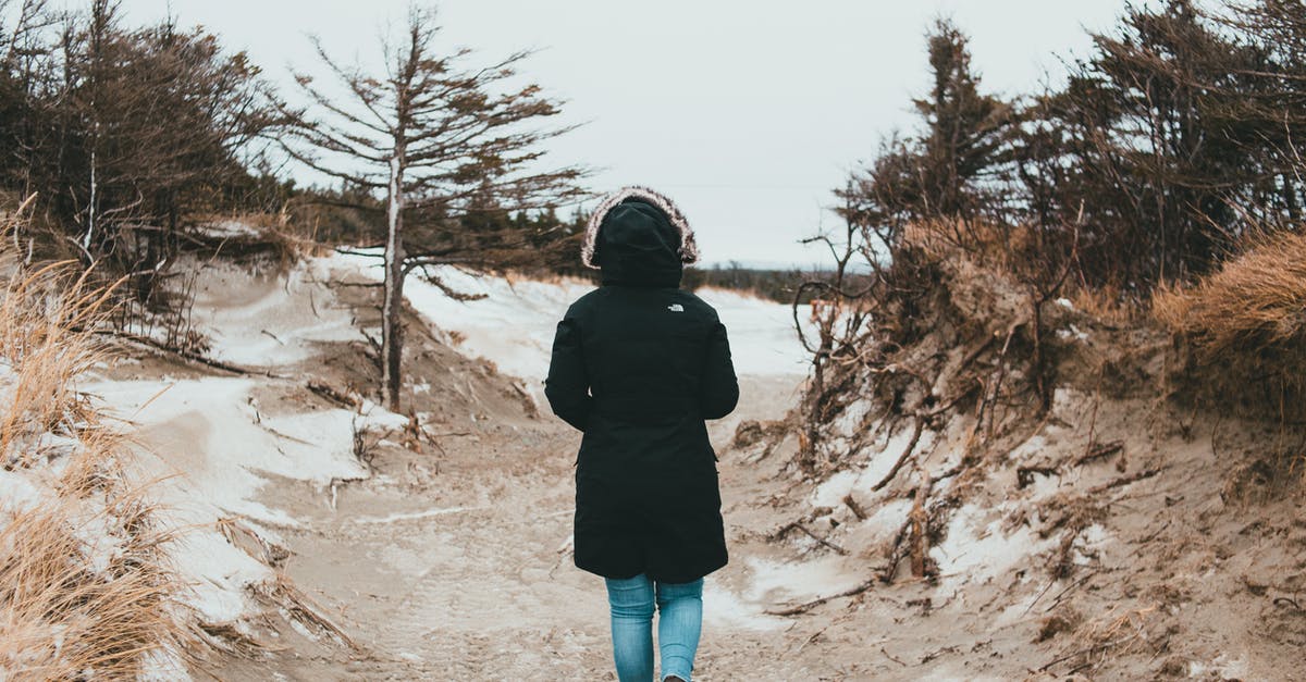 What's the best way to store (freeze) purchased ground beef? - Back view full body of anonymous person wearing warm clothes strolling on rural path among trees on cold winter day What's the best way to store (freeze) purchased ground beef? - Back view full body of anonymous person wearing warm clothes strolling on rural path among trees on cold winter day