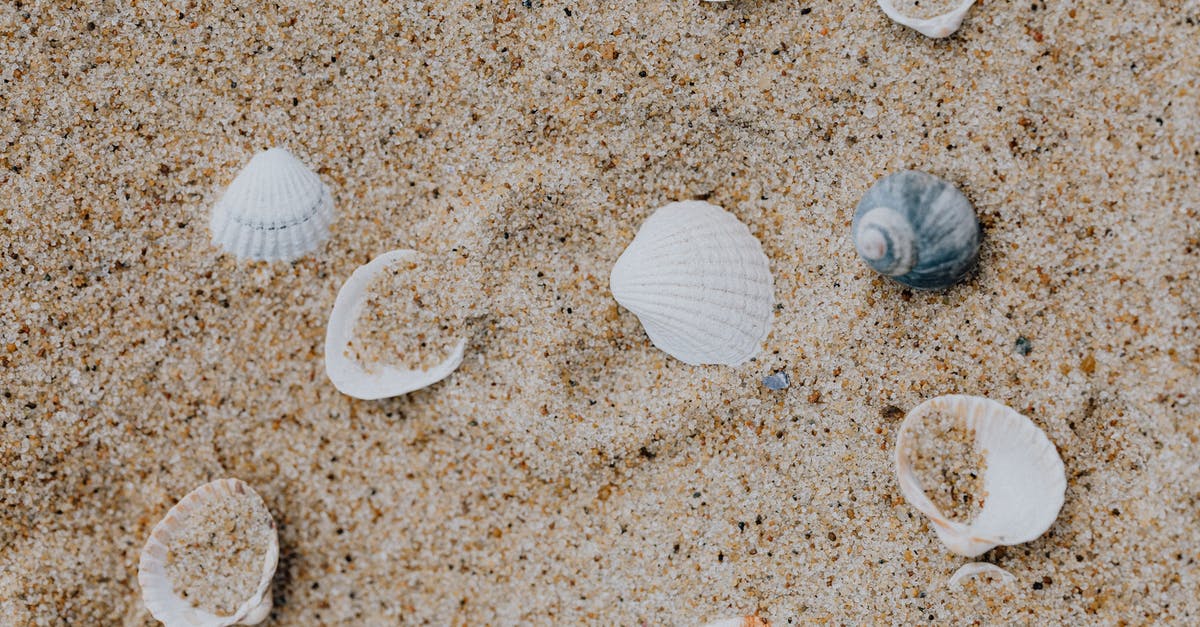 What's the closest replacement for clam juice? - White and Brown Seashells on Brown Sand What's the closest replacement for clam juice? - White and Brown Seashells on Brown Sand