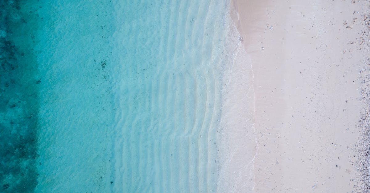 What's the correct texture for masa dough? - High Angle-photography of Seashore What's the correct texture for masa dough? - High Angle-photography of Seashore