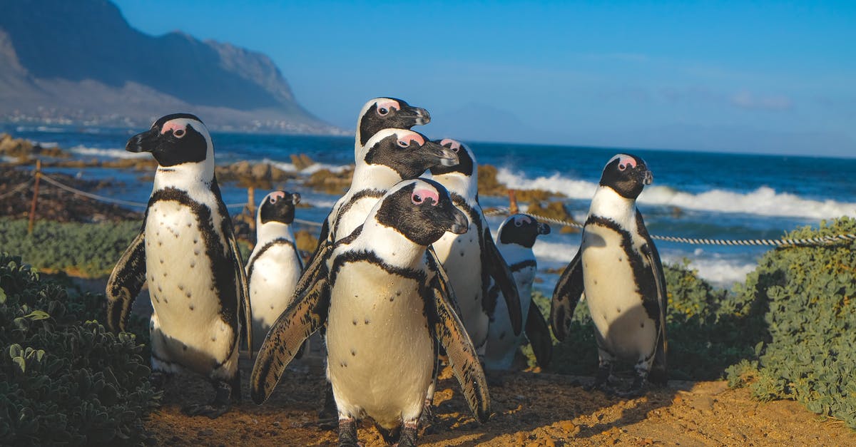 What's the difference between a cobbler, crisp, crumble, buckle, and betty? - Group of African Penguins What's the difference between a cobbler, crisp, crumble, buckle, and betty? - Group of African Penguins