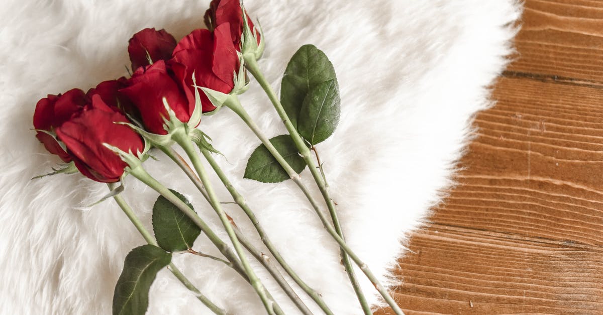 What's the difference between green, white, and red onions? - Bouquet of delicate flowers on white carpet What's the difference between green, white, and red onions? - Bouquet of delicate flowers on white carpet