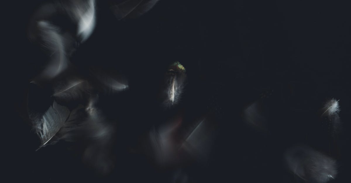 what's the smoke point of a hybrid oil? - From above of similar wavy feathers with delicate texture on pointed sticks and haze effect on black surface in twilight what's the smoke point of a hybrid oil? - From above of similar wavy feathers with delicate texture on pointed sticks and haze effect on black surface in twilight
