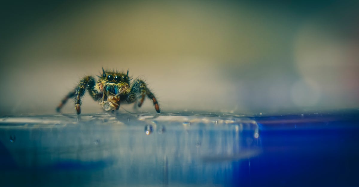 What's the trick to seal sous vide foil if liquid contained - Small spider crawling on water surface What's the trick to seal sous vide foil if liquid contained - Small spider crawling on water surface