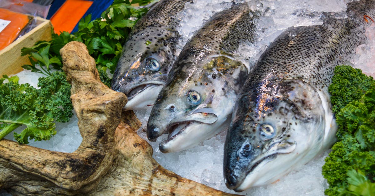 What's wrong with keeping frozen vegetables in refrigerator? - From above of assorted uncooked fish lying among leaves on stall in fridge What's wrong with keeping frozen vegetables in refrigerator? - From above of assorted uncooked fish lying among leaves on stall in fridge