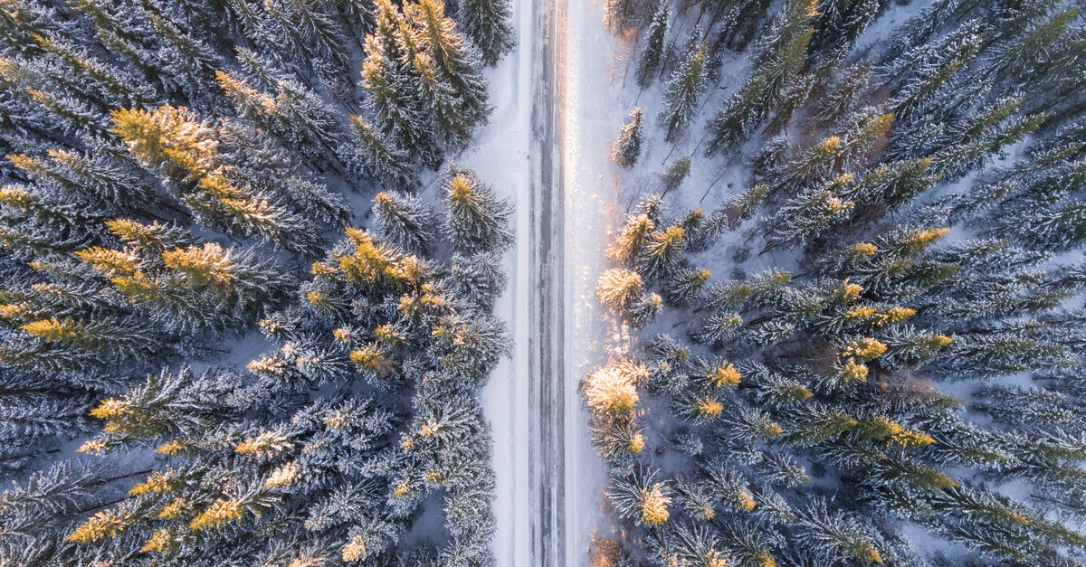 What's wrong with keeping frozen vegetables in refrigerator? - Aerial Photography of Road in Forest What's wrong with keeping frozen vegetables in refrigerator? - Aerial Photography of Road in Forest