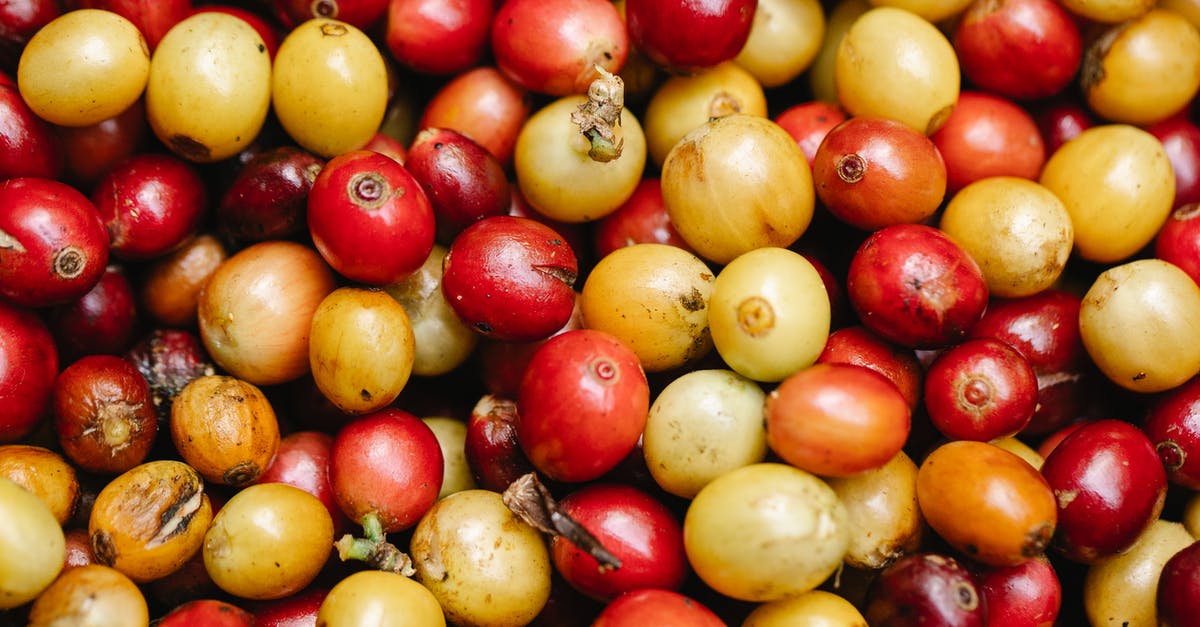 What are properties of good whole bean coffee? - Top view heap of small rounded ripe coffee berries with red and yellow colors placed together during harvesting season in countryside What are properties of good whole bean coffee? - Top view heap of small rounded ripe coffee berries with red and yellow colors placed together during harvesting season in countryside