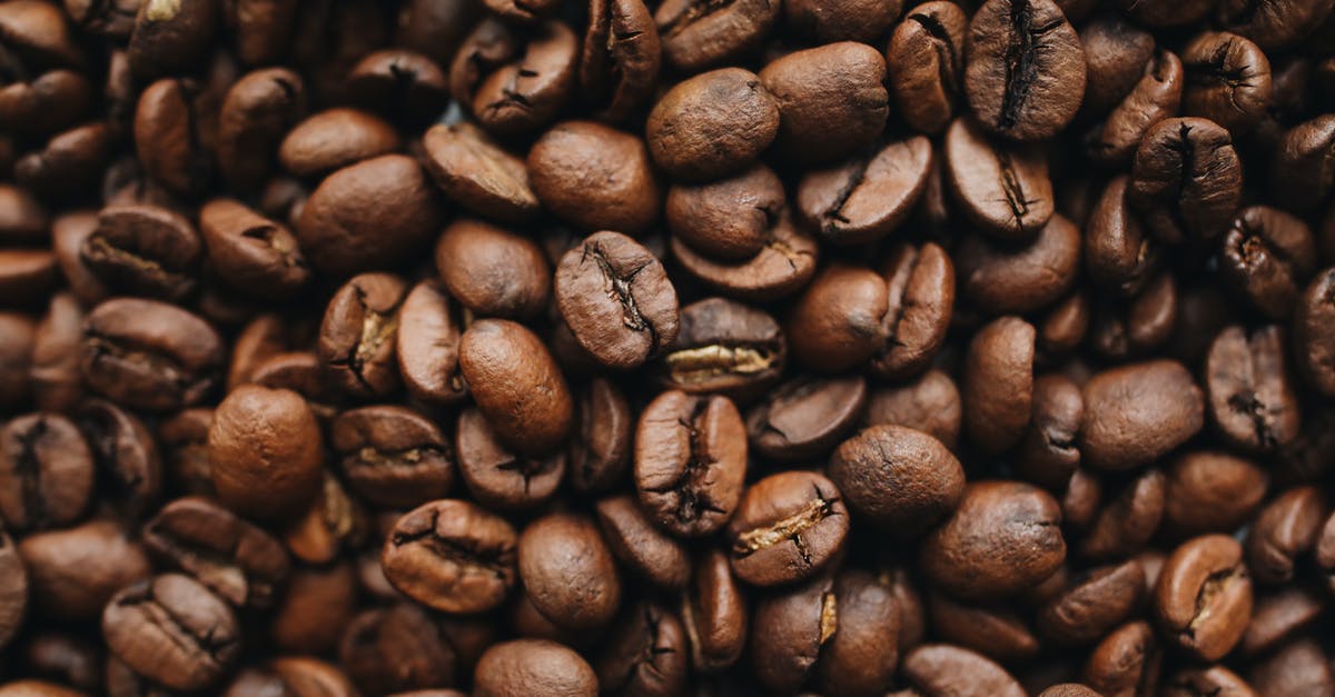 What are recommendable coffee roast types for Aeropress? - Brown Coffee Beans in Close Up Photography What are recommendable coffee roast types for Aeropress? - Brown Coffee Beans in Close Up Photography