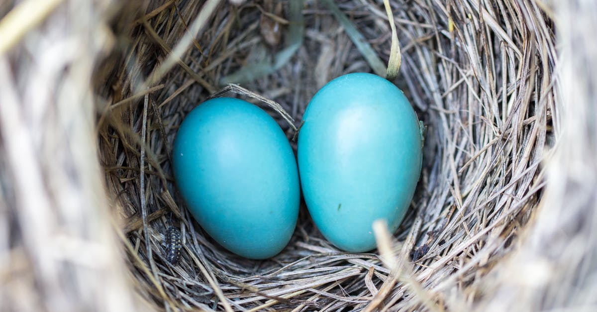 What are some of the best ways to shell an egg? [duplicate] - Selective Focus Photography2 Blue Egg on Nest
