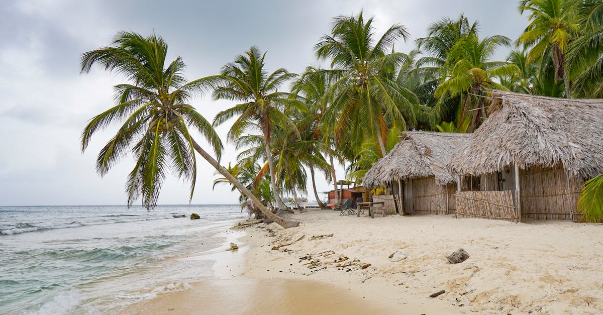 What are substitutions for coconut in curry? - Free stock photo of beach, bungalows, carribean What are substitutions for coconut in curry? - Free stock photo of beach, bungalows, carribean