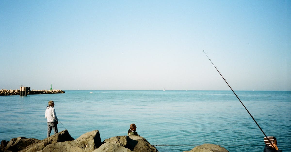 What are the categories of fish? - Man in White Shirt Fishing on Sea What are the categories of fish? - Man in White Shirt Fishing on Sea