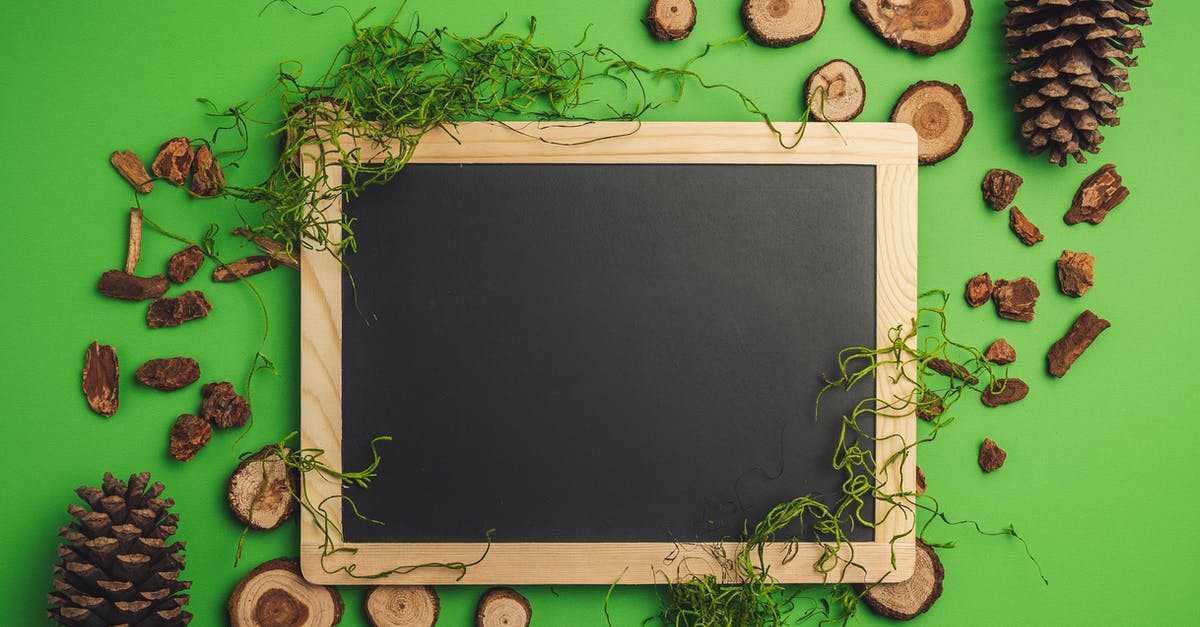 What are the differences between fresh beans and dried ones? - Top view of chalkboard surrounded by cones and dry bark with stump and moss arranged on green surface What are the differences between fresh beans and dried ones? - Top view of chalkboard surrounded by cones and dry bark with stump and moss arranged on green surface