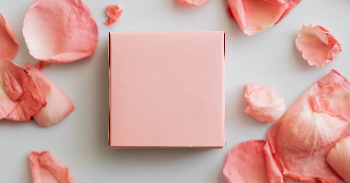 What are the effective ways to wrap a pita? - Top view of close up colorful gift box with scattered pink petals on smooth white surface What are the effective ways to wrap a pita? - Top view of close up colorful gift box with scattered pink petals on smooth white surface